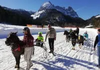 Pferdeschlittenrennen-2019-Winterrennbahn-Hotel-Gut-Kramerhof Pferdeschlittenrennen-2019-Winterrennbahn-Hotel-Gut-Kramerhof